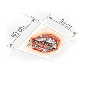 Plafondplaten Roland Hols